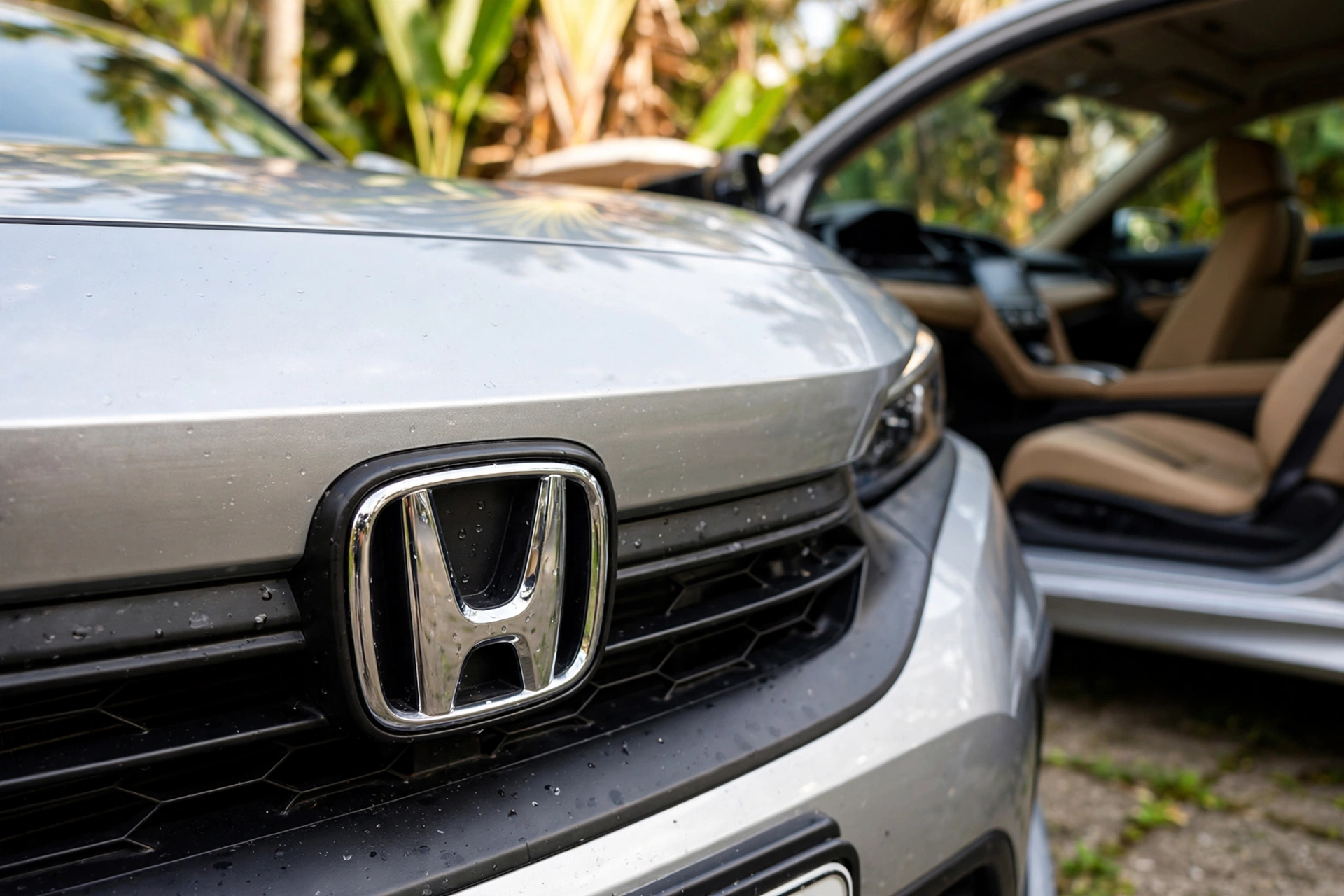 used car dealership showroom comprar honda civic novo