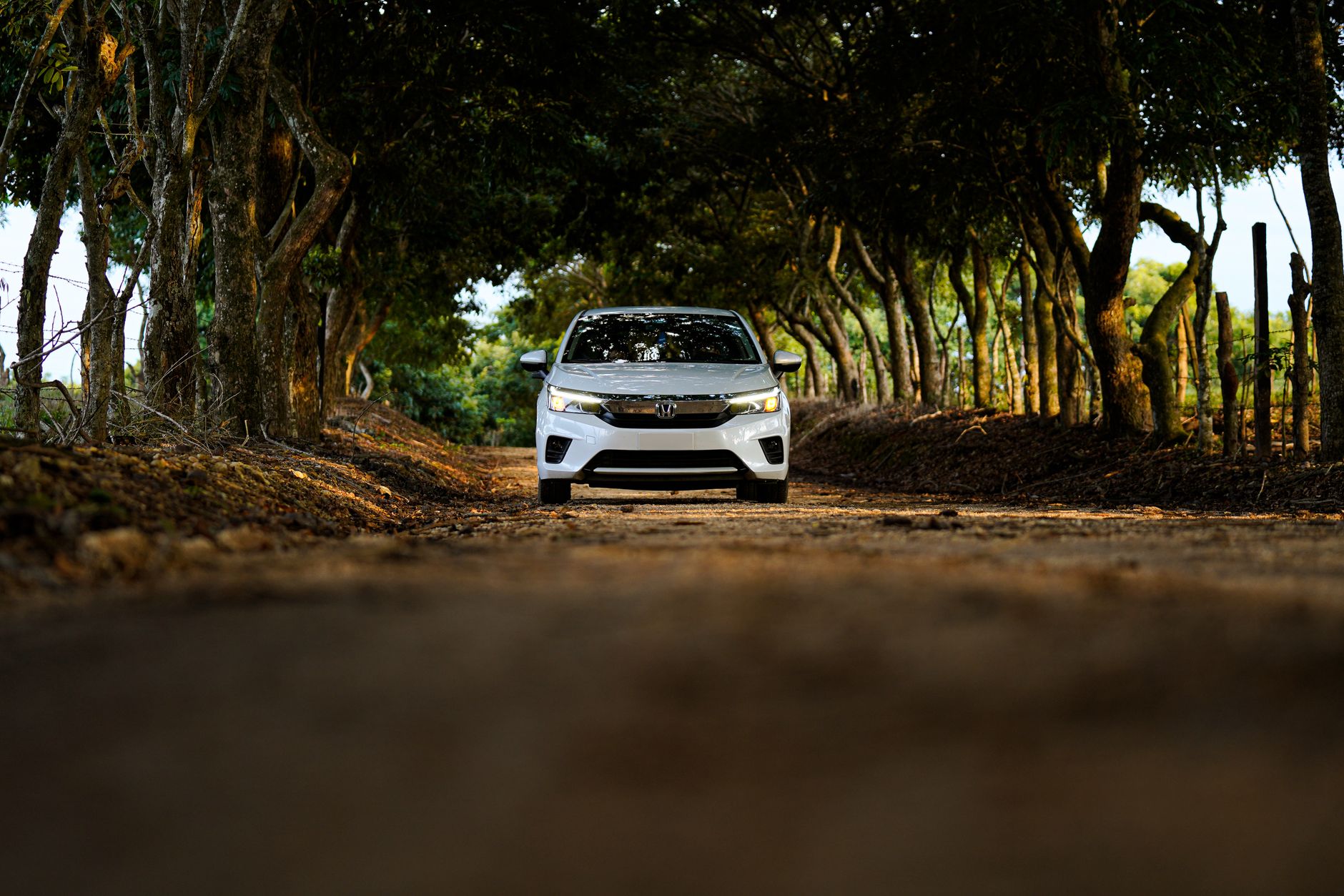 A white car driving on a tree-lined dirt road in Loma Bonita, Oaxaca, Mexico.