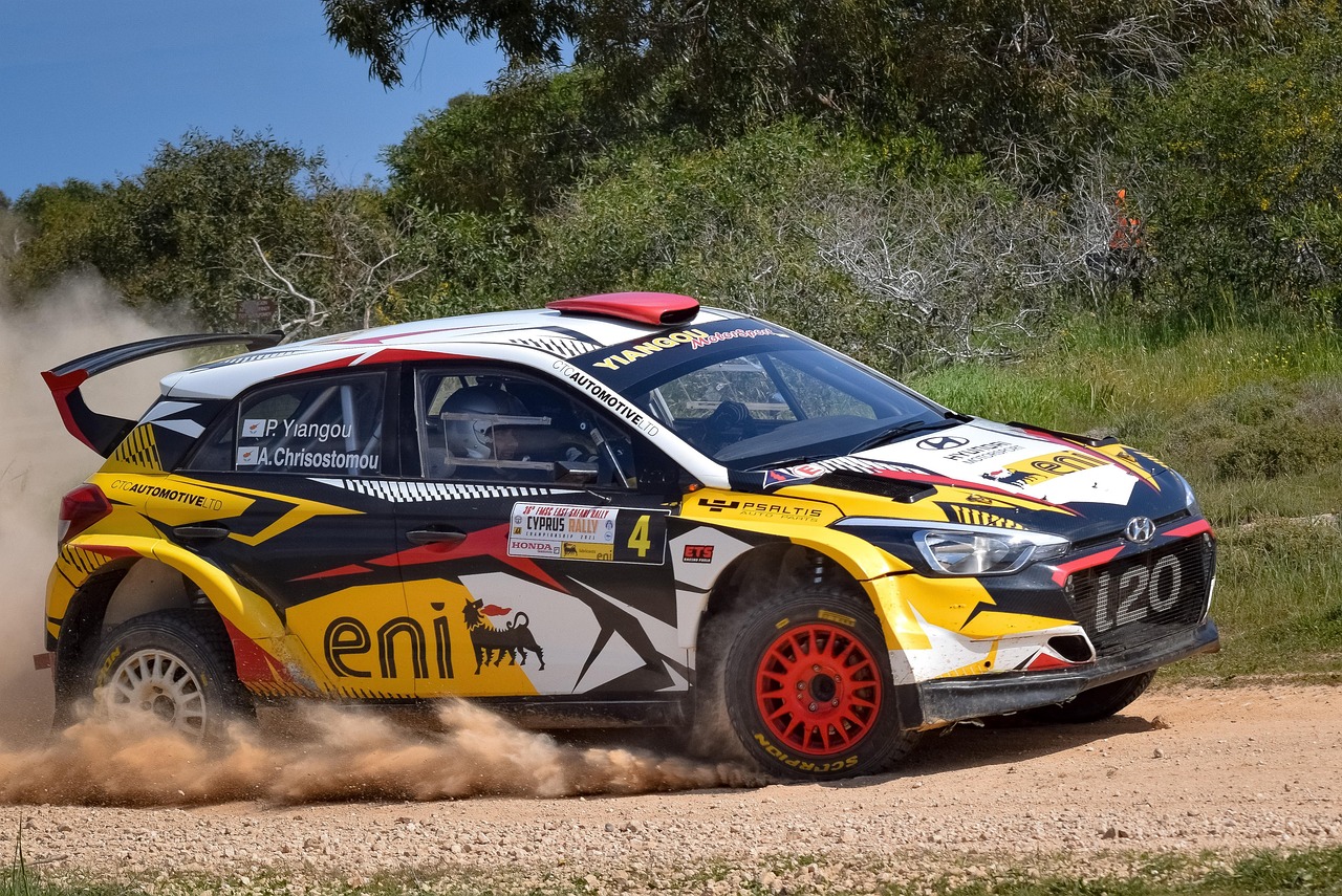 car, race, rally, racing, auto, car wallpapers, automobile, automotive, sport, competition, motorsport, east safari rally, hyundai