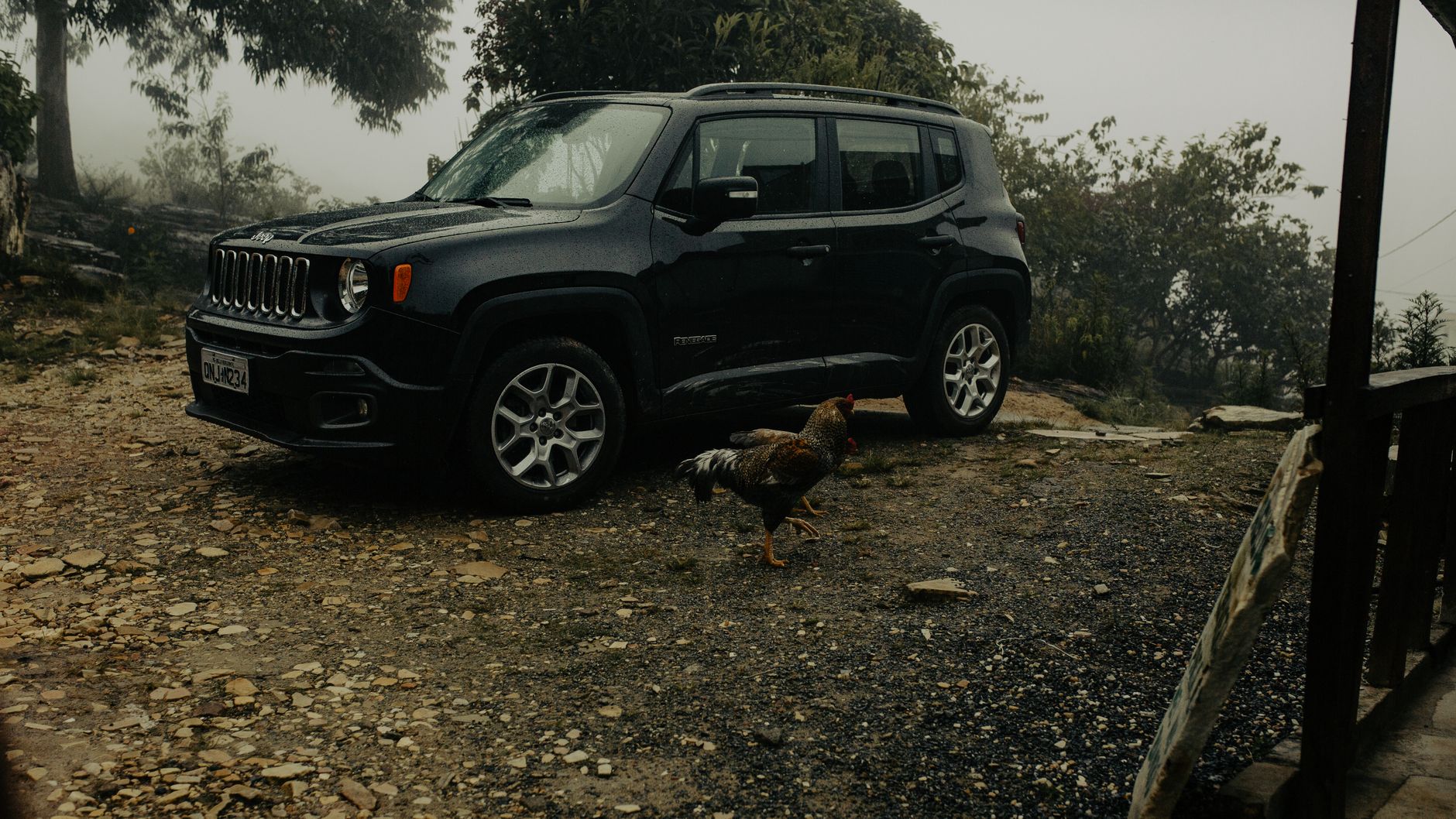 A black SUV parked on a rural dirt road with a chicken in the foreground.