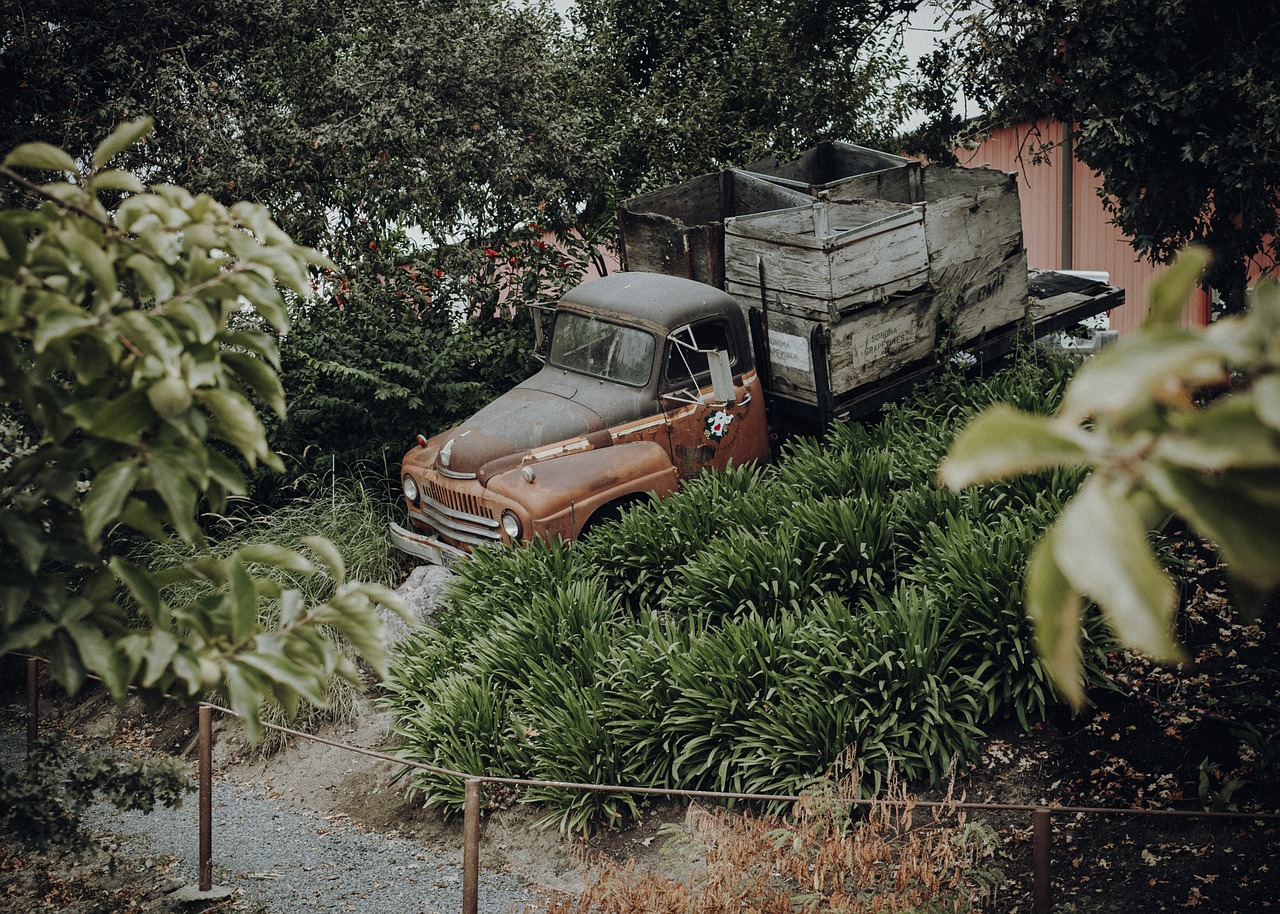 truck, automobile, antique car, vehicle, usa, transport, rusted, american, pinup, us car, pickup
