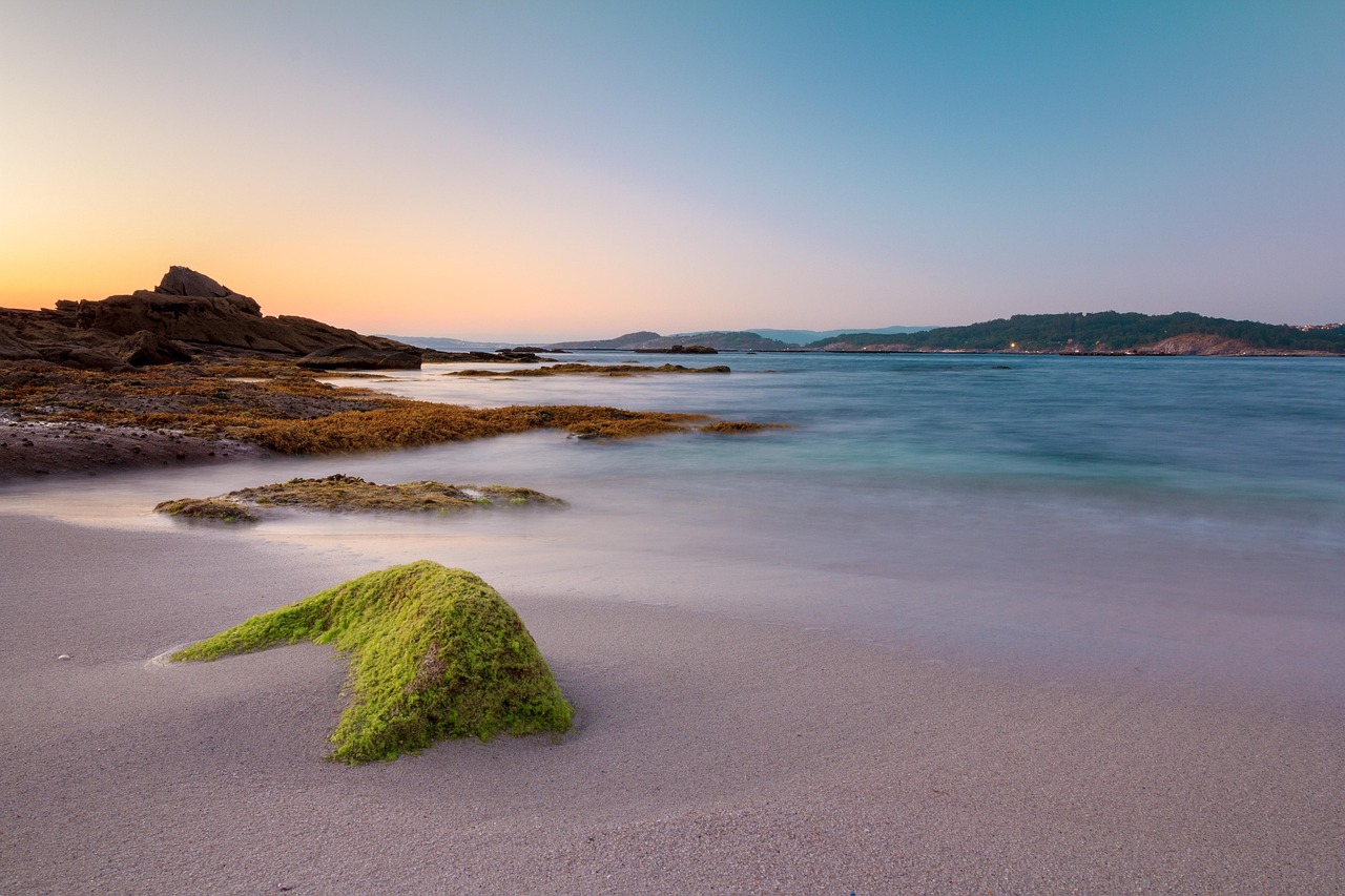 beach, galicia, ria, aldán, algae, rocks, sea, sunset, sand, calm down, paradise, meditation, nature, summer, ethereal, darling, costa, the water, stone, seafood, peaceful, blue hour, mussels, reflection, mindfulness, rías baixas