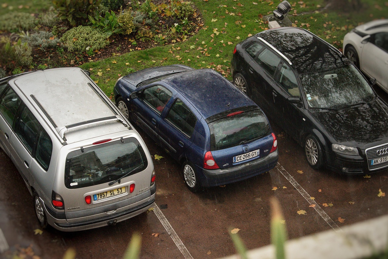 car, renault, clio, car wallpapers, nature, parking lot, car park, rain