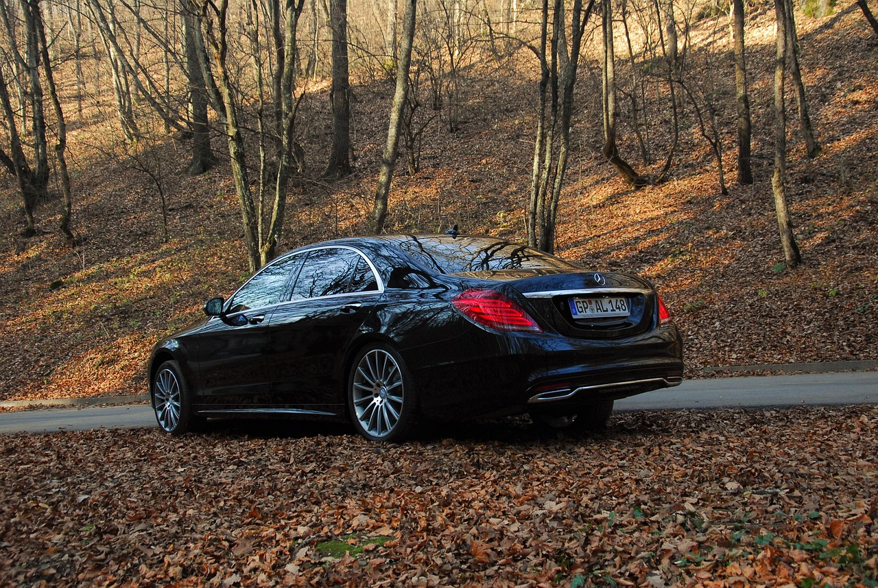 auto, autumn, benz, luxury car, mercedes, s class, transport, vehicle, brown car, benz, luxury car, luxury car, mercedes, mercedes, mercedes, mercedes, s class, s class, s class, s class, s class