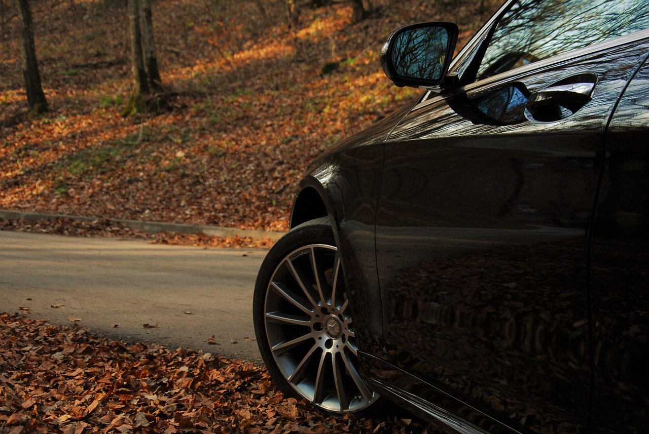 auto, autumn, benz, luxury car, mercedes, s class, transport, vehicle, brown car