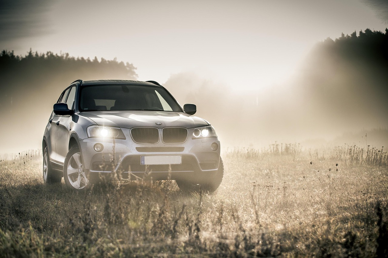 bmw, suv, auto, fog, autumn, headlights, shiny car, car, vehicle, transportation, parked car, car wallpapers, automobile, automotive