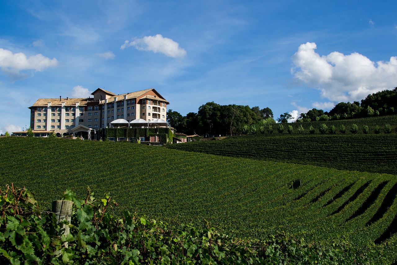 bento gonçalves, winery, rio grande do sul, gaucho mountain range, brazil, spa wine, uva, parrerais, bento gonçalves, winery, winery, winery, winery, winery