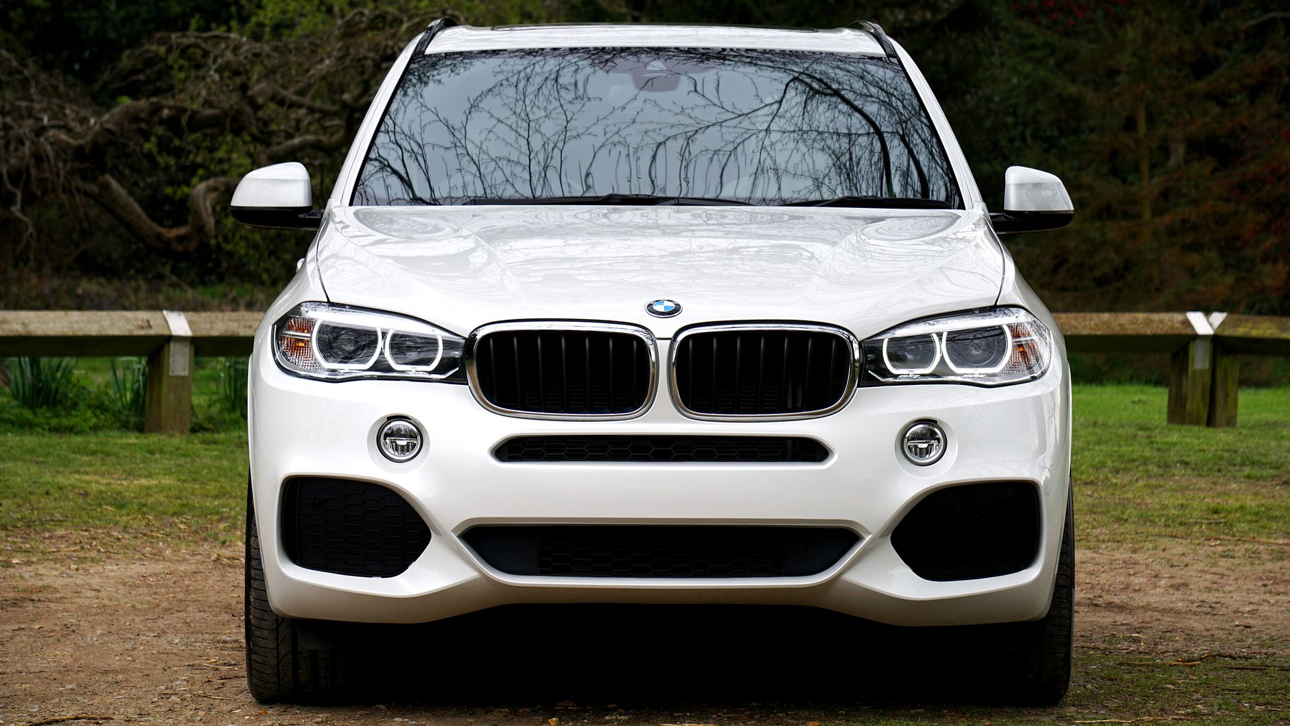 Luxury white SUV showcased in a scenic outdoor environment, embodying automotive elegance.