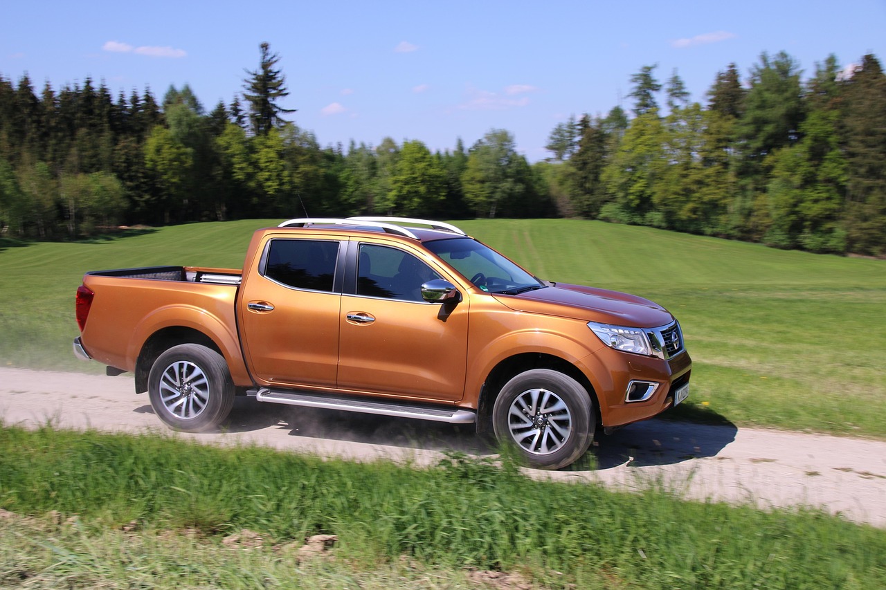 Pickup seminova em área rural de Tanabi