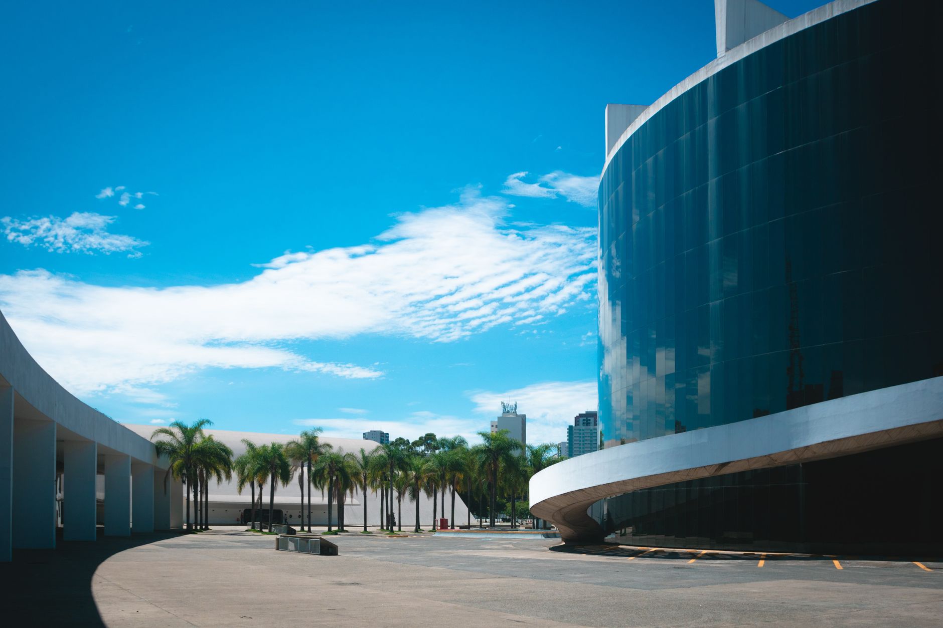 Modern glass building showcasing urban architecture amidst palm trees and blue skies.