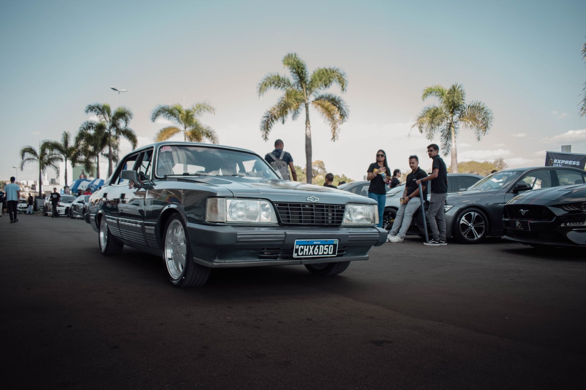 Vintage and modern cars at a daytime meetup with palm trees and people socializing.