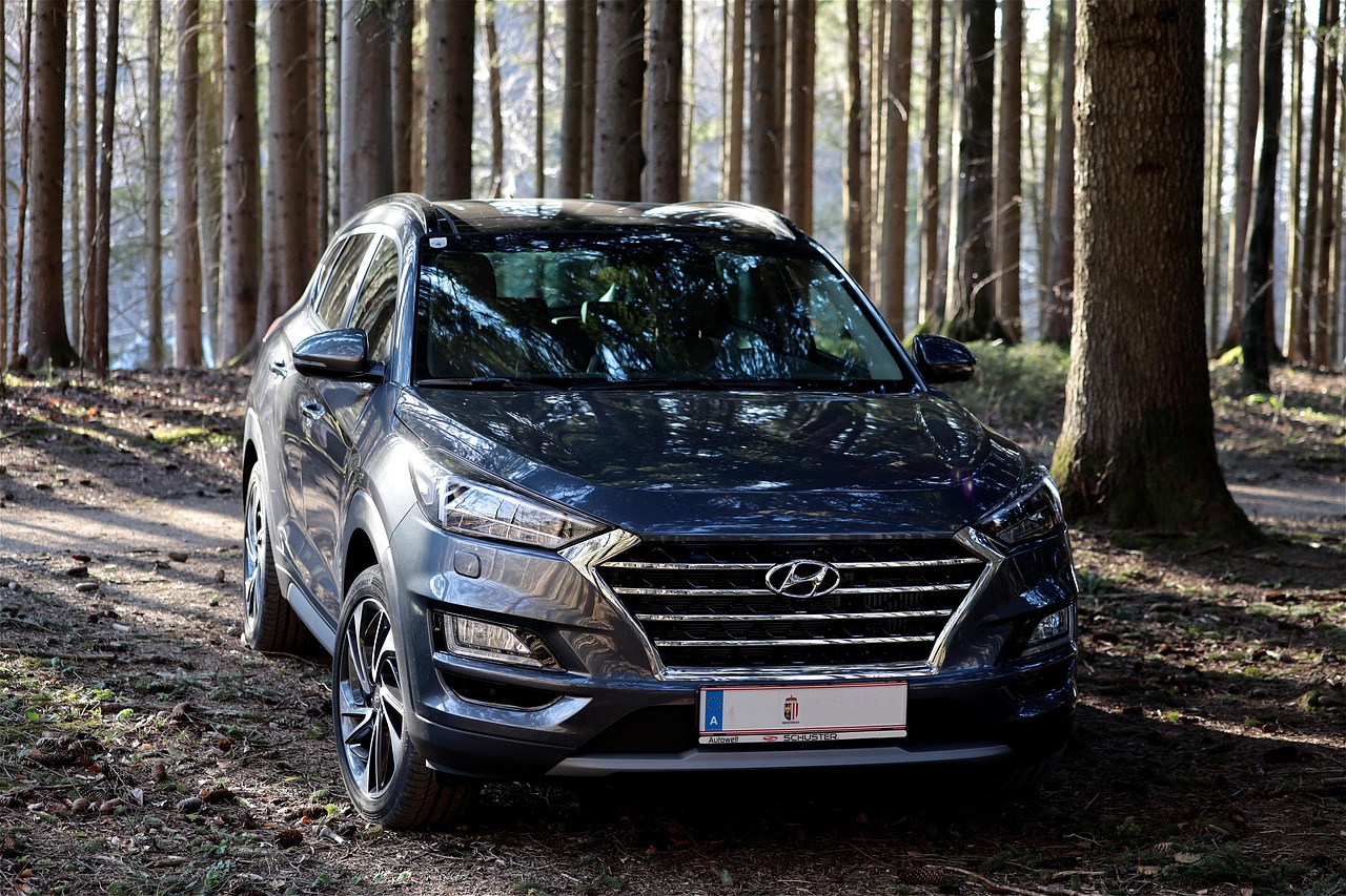 automobile, hyundai, dynamic, windshield, suv, suv vehicle, vehicle, forest, trees, the shade, nature, 4wd, all wheel drive, hyundai tucson, offroad