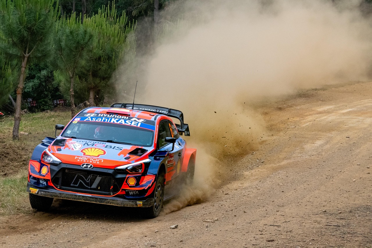 rally, car, speed, road, hyundai, auto, car wallpapers, automobile, automotive, racing car, racing, race, wrc, world rally championship, lousa