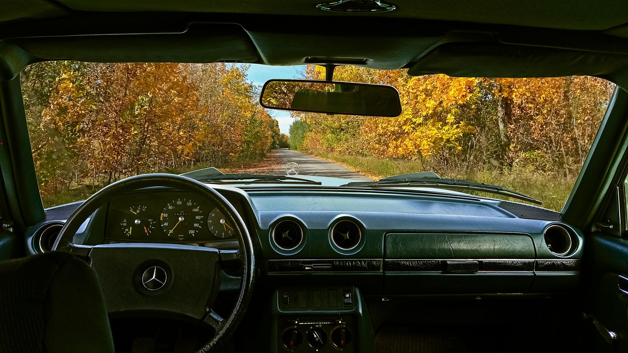 mercedes, car wallpapers, mercedes w123, retro, autumn, road, nature, landscape, ukraine, peace, silence, calmness, car, vintage, old, natural