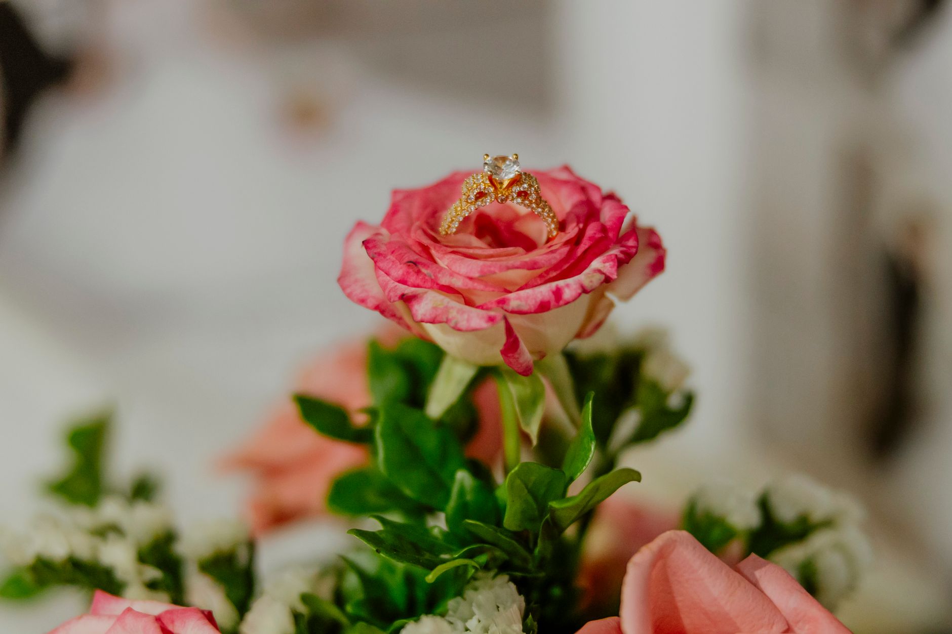 A close-up of a diamond engagement ring elegantly placed on a blooming pink rose.