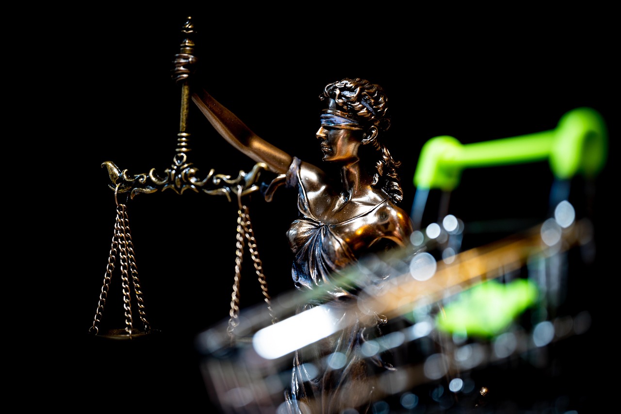 justitia, online shopping, dish, verdict, judge, law, penalty, justice, hammer, lawyer, attorney, legal basis, libra, authority, paragraph, symbol, dsgvo, the courtroom, system, judge, lawyer, lawyer, lawyer, lawyer, lawyer