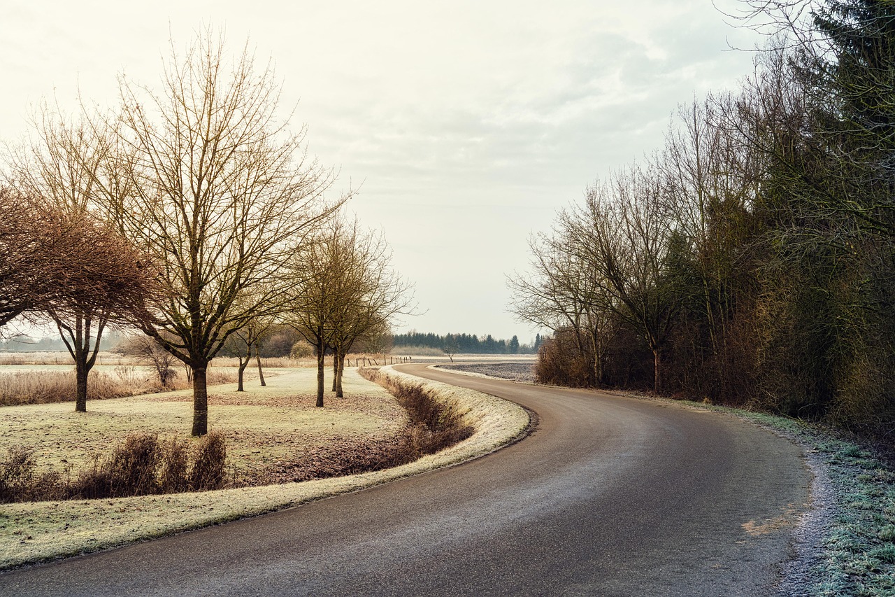 path, road, street, trees, autumn, sky, twilight, fall, cold, nature, landscape, autumncontest