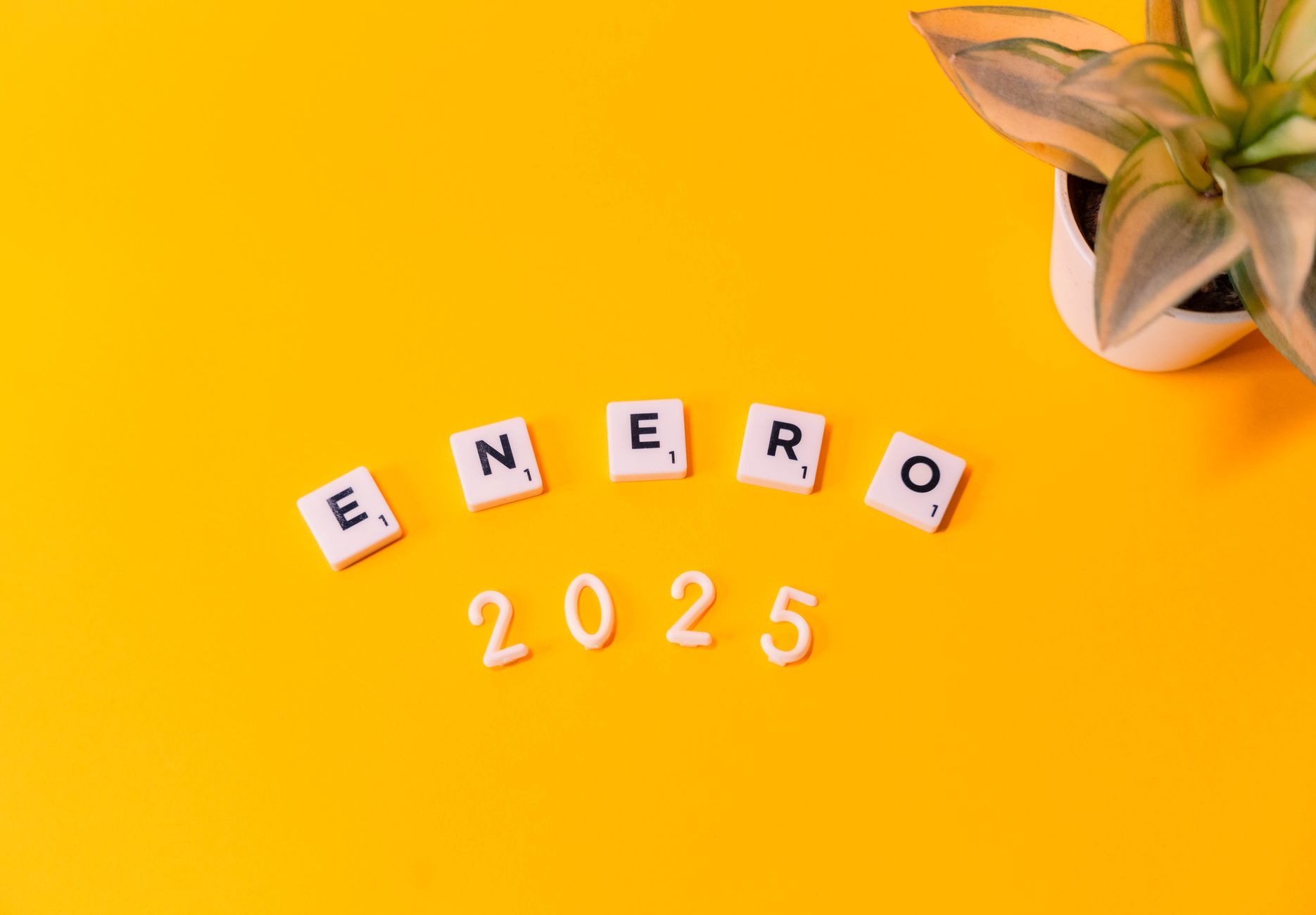 Scrabble tiles spelling 'Enero 2025' on a vibrant yellow background with a plant.