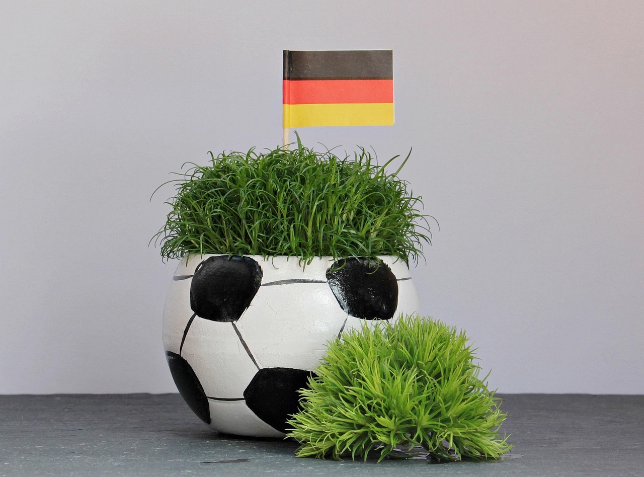 em 2016, soccer, tournament, em, european championship, european football championship, em2016, france, black red gold, germany, flag, banner, national colours, funny, humorous, sports, soccer, em, em, em, em, em