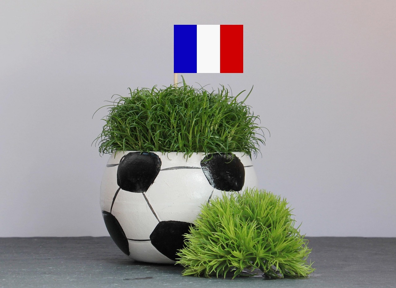 em 2016, soccer, tournament, em, european championship, european football championship, em2016, france, black red gold, flag, banner, national colours, funny, humorous, sports, preliminary round
