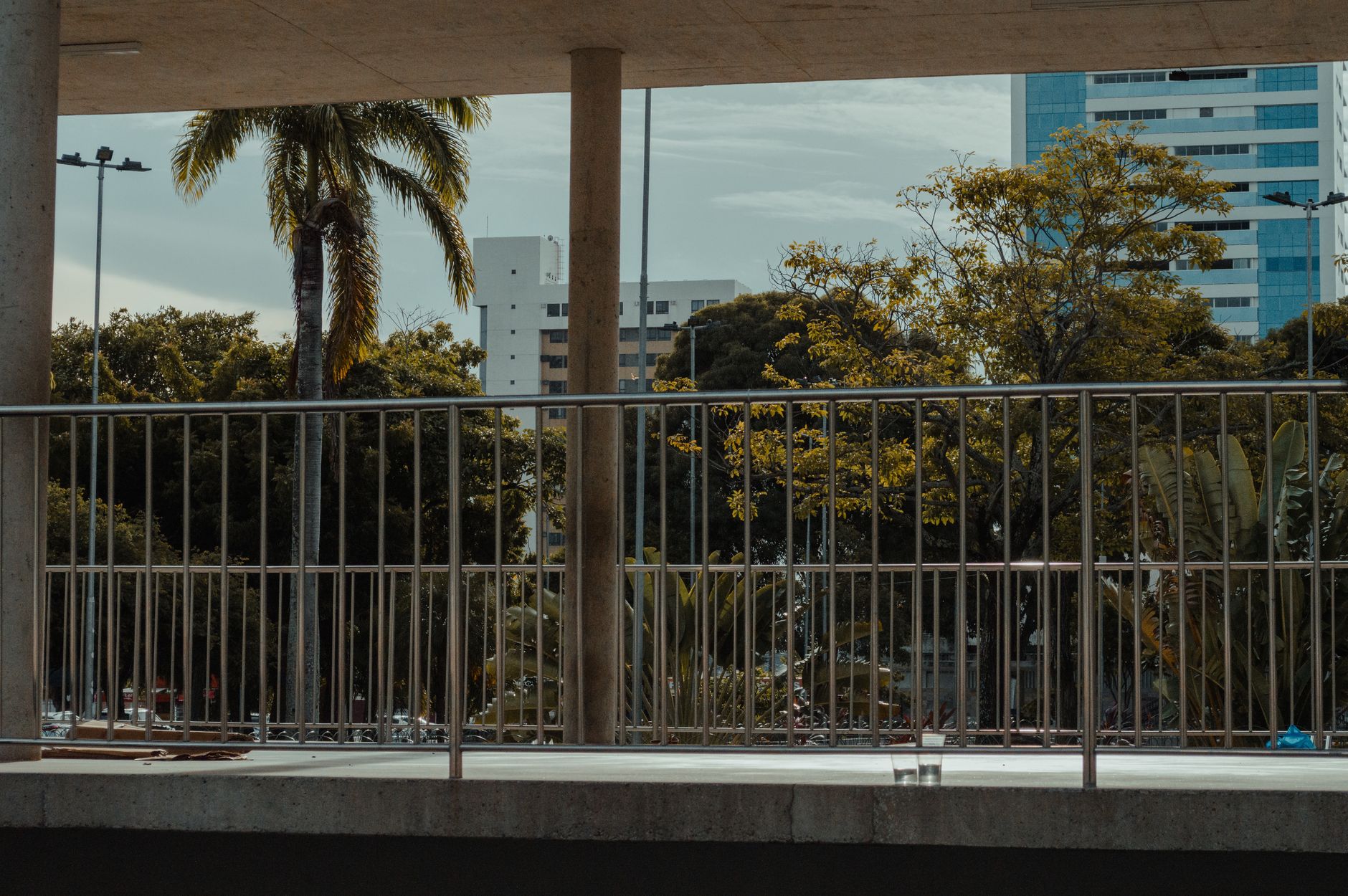 A modern urban setting in RN, Brazil, featuring palm trees, architecture, and a metal railing.