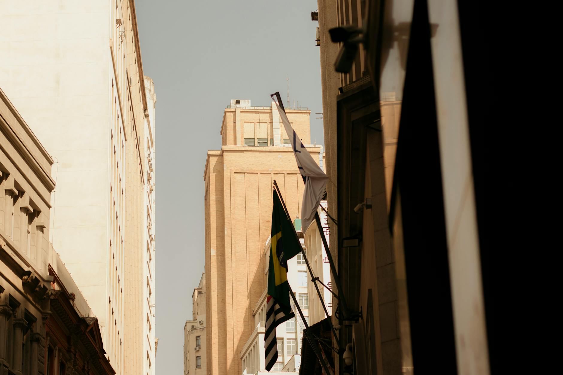 Servidor público brasileiro em ambiente inclusivo com diversidade