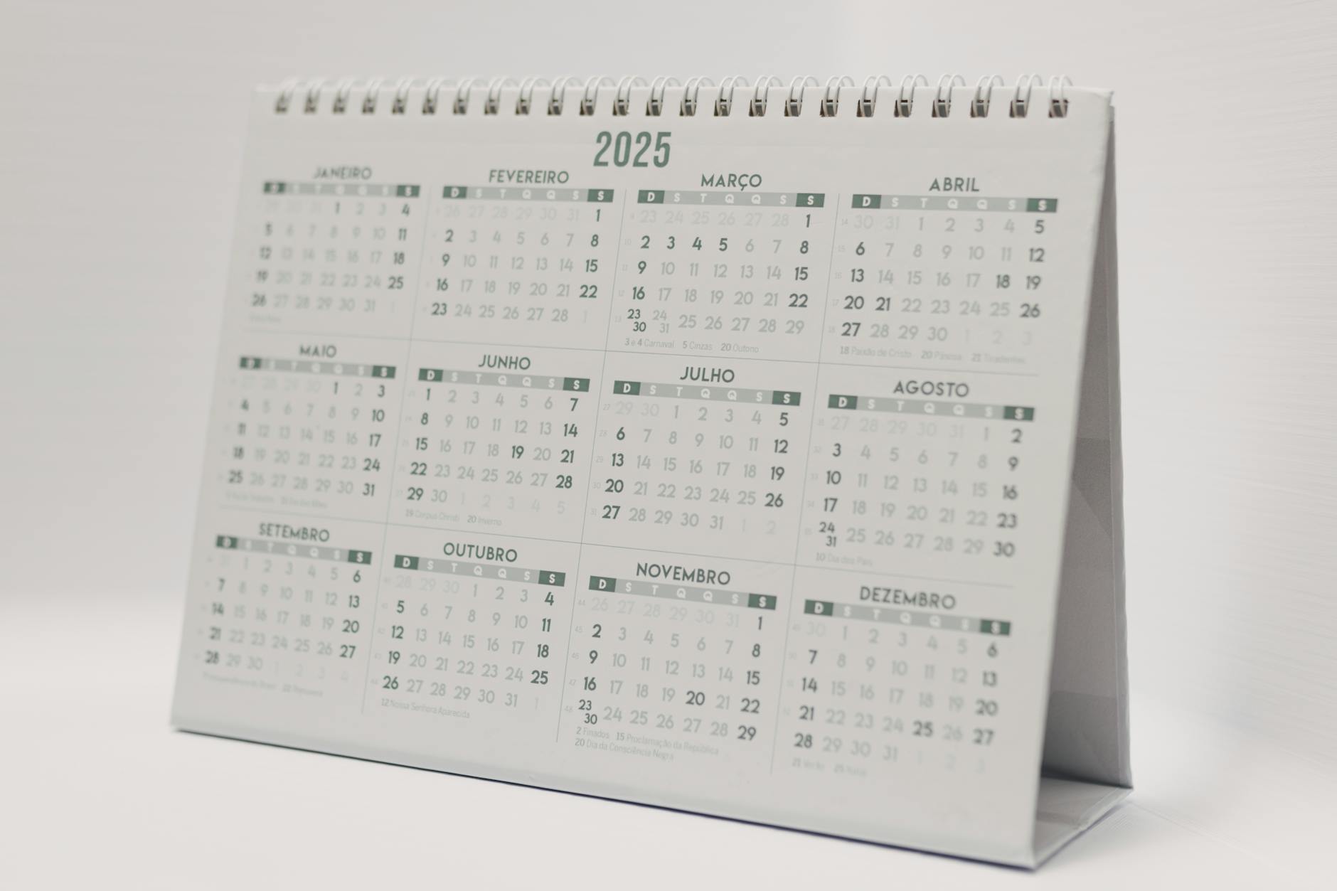 PAD Lei 8112 Servidor: Dispositivos e Direitos Essenciais em 2026