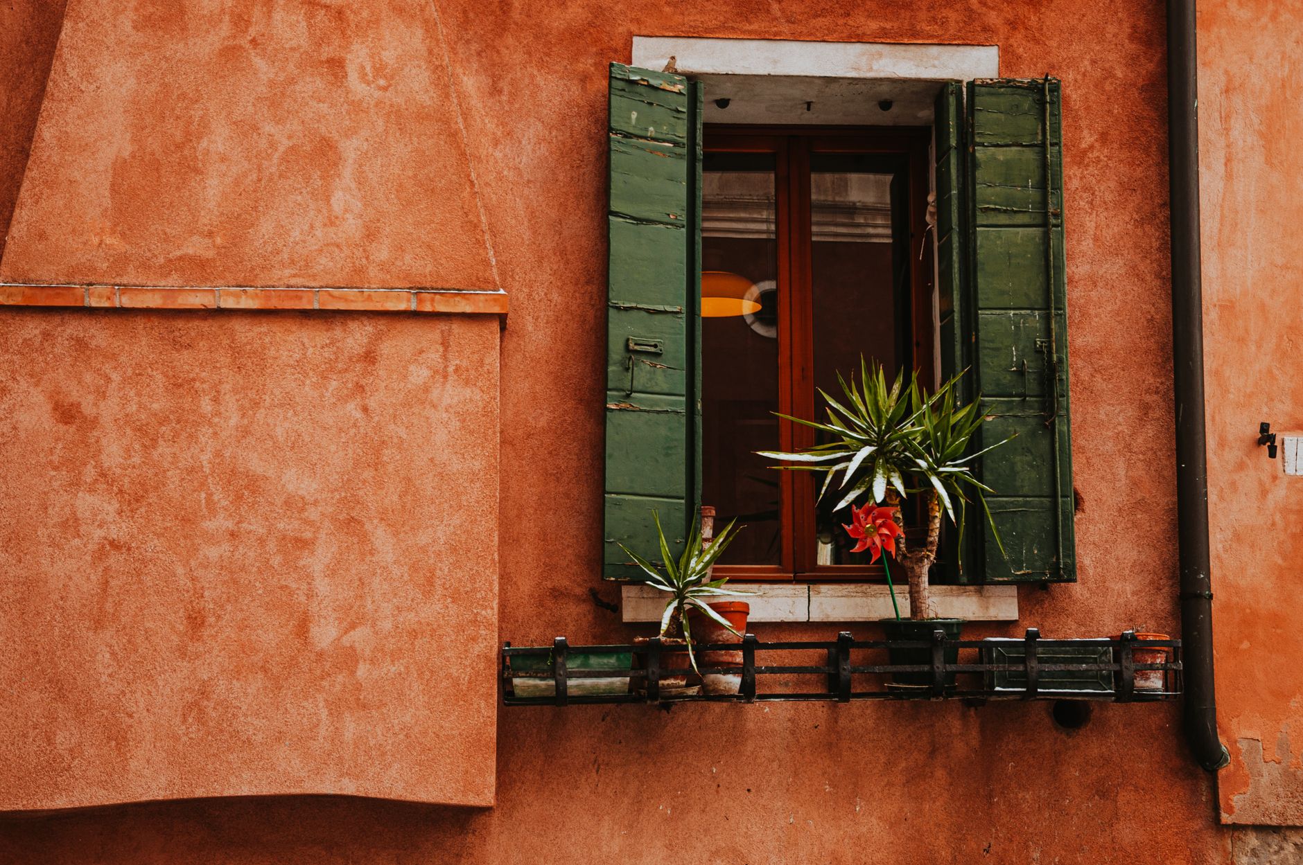 Charming Venetian building facade with green shutters and potted plants on the windowsill.