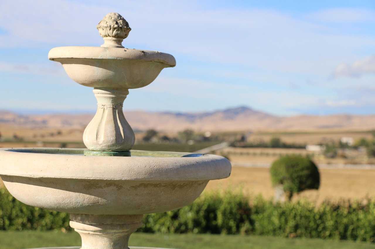 livermore, vineyards, california, bay area, livermore, livermore, livermore, livermore, livermore