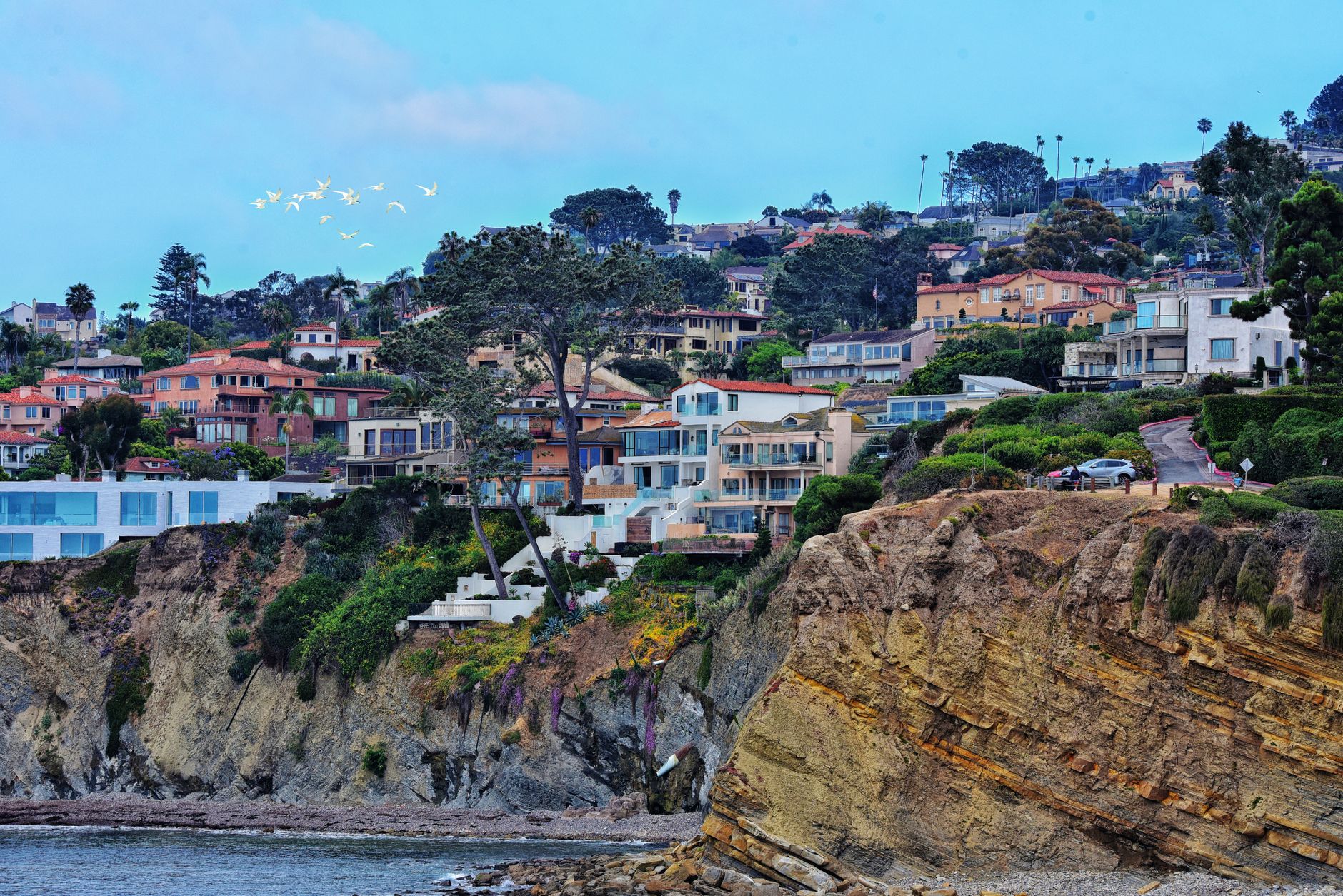 Beautiful cliffside homes in San Diego, California, with the ocean below and birds flying overhead.