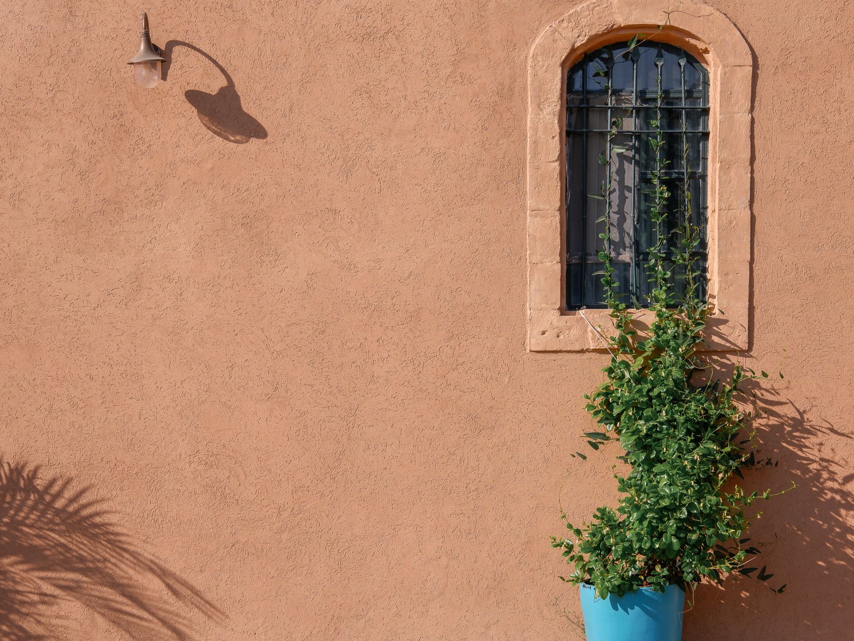 A rustic exterior wall featuring an arched window, wall lamp, and potted plant.