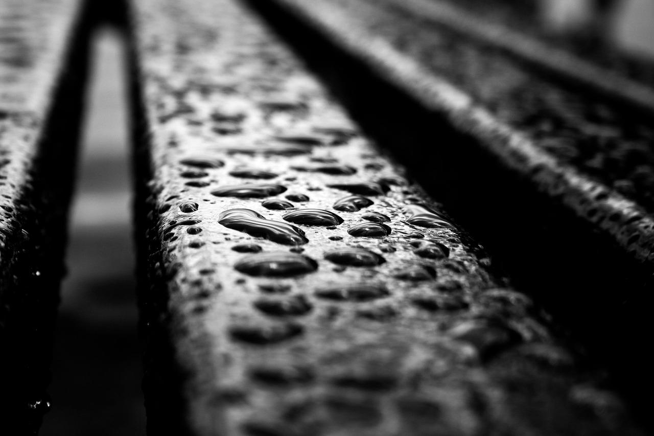 raindrops, rain, wood, wet, deck, nature, fall, texture, pathway, season, autumn, patio, house