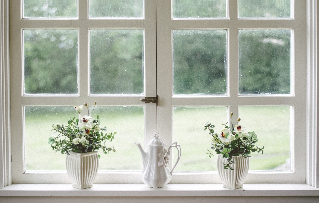 white, window, glass, hd wallpaper, beautiful flowers, shield, mac wallpaper, frame, beautiful wallpaper, desktop backgrounds, flower, cool backgrounds, flower background, flower wallpaper, 4k wallpaper, vase, home, floral background, 4k wallpaper 1920x1080, nature, full hd wallpaper, wallpaper hd, interior, windows wallpaper, wallpaper 4k, free wallpaper, free background, laptop wallpaper, wallpaper