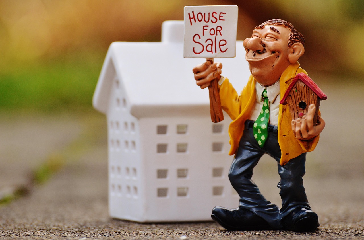 real estate agent, house, selling, fun, bird house, figure, profession, job, work, necktie, career, man, commitment, service, selling, selling, selling, selling, selling, job