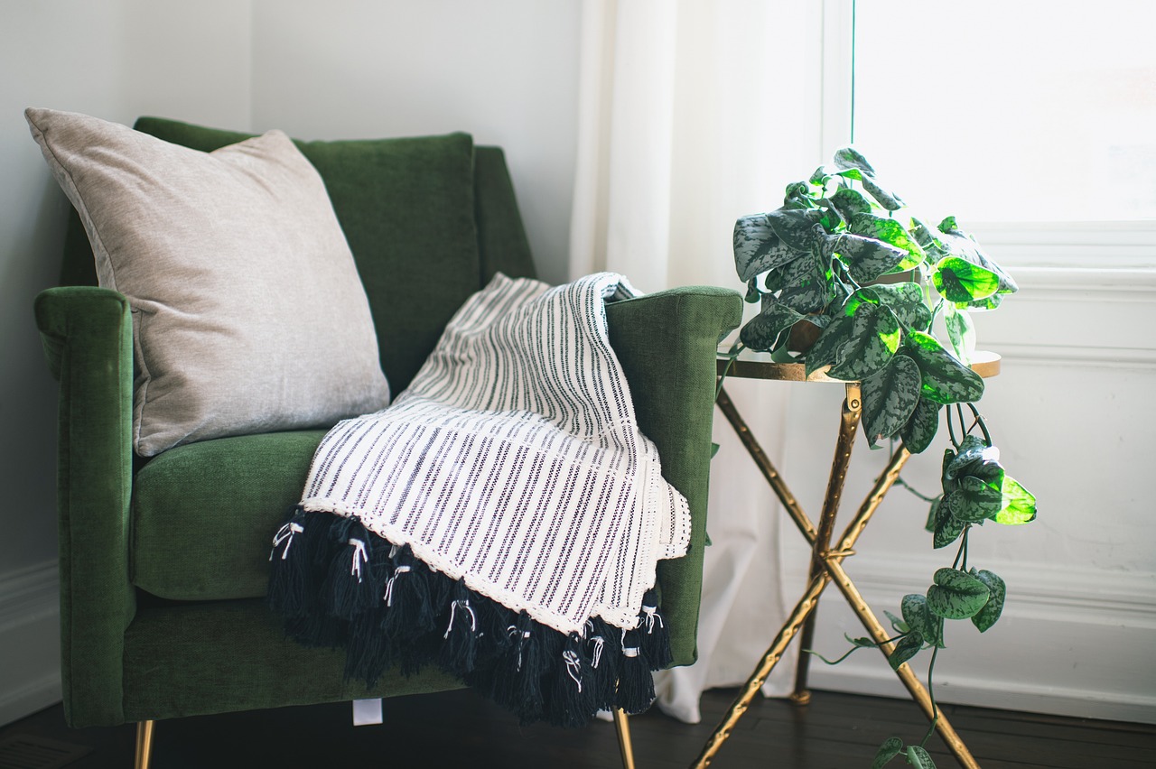 chair, home, room, plant, nature, ivy, interior, table, blanket, pillow, curtain, clean, drapes, silver satin ivy, still life