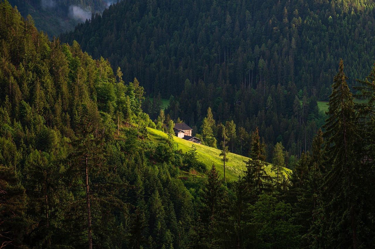 mountain, house, pine, forest, trees, mountains, nature, sunset, travel, bolzano italy, aerial view, travel, travel, travel, travel, travel