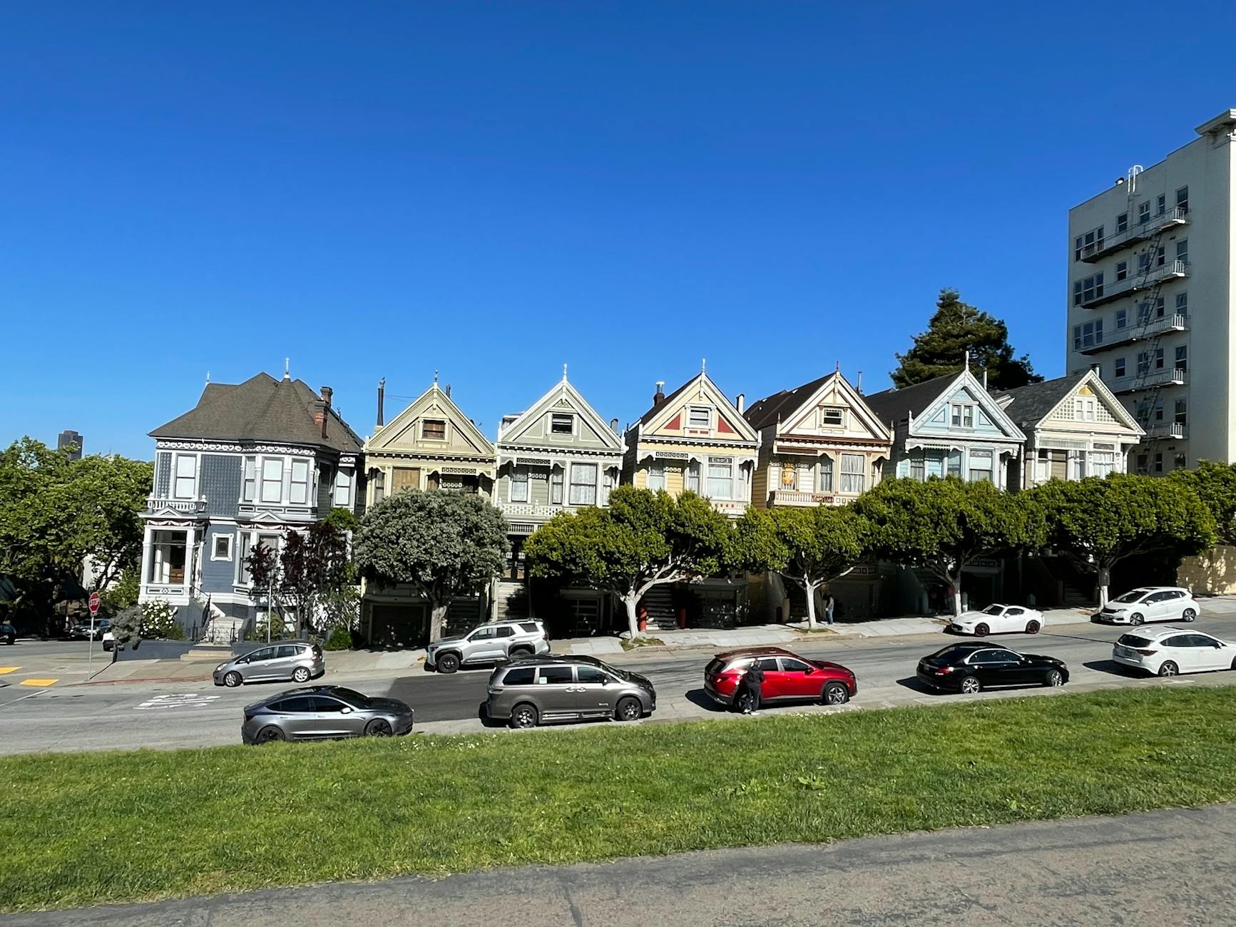 Vibrant Painted Ladies against a clear blue sky in San Francisco.