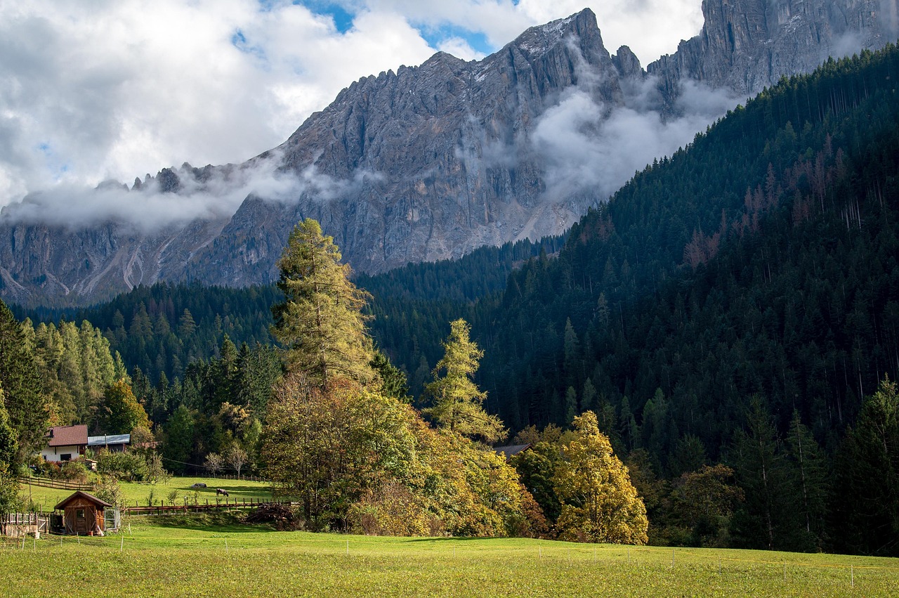 pine forest, coniferous trees, autumn, bolzano italy, rocky mountains, mountains, tourism, clouds, sunlight, nature, tourism, tourism, tourism, tourism, tourism, sunlight