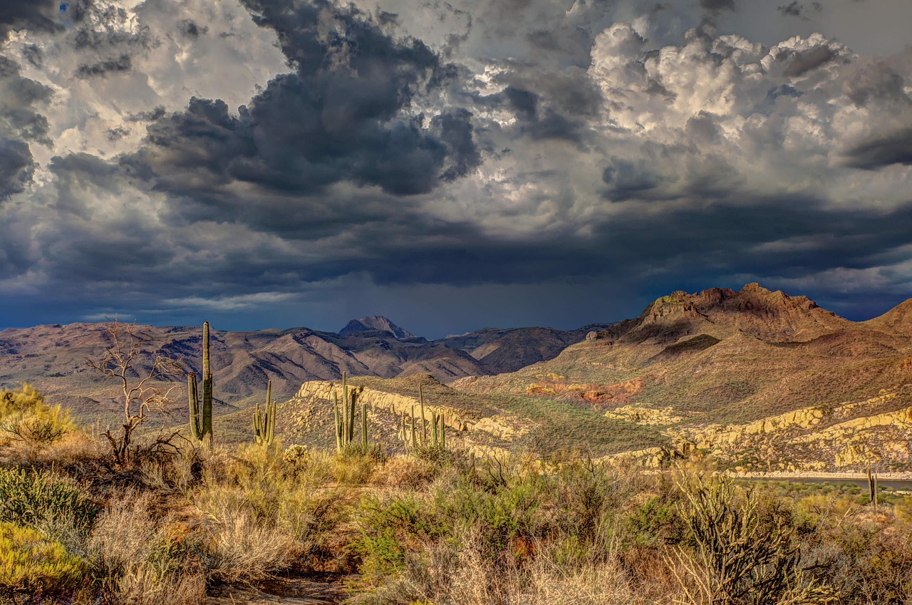 arid, cactus, cloud formation, dark clouds, daylight, desert, hills, landscape, light and shadow, nature, outdoors, scenic, shrubs, sky, valley, vast land, brown nature, brown sky, brown landscape, brown light, brown clouds, brown desert, brown dark, brown natural, brown lights, cactus, cactus, cactus, cactus, desert, desert, desert, desert, desert