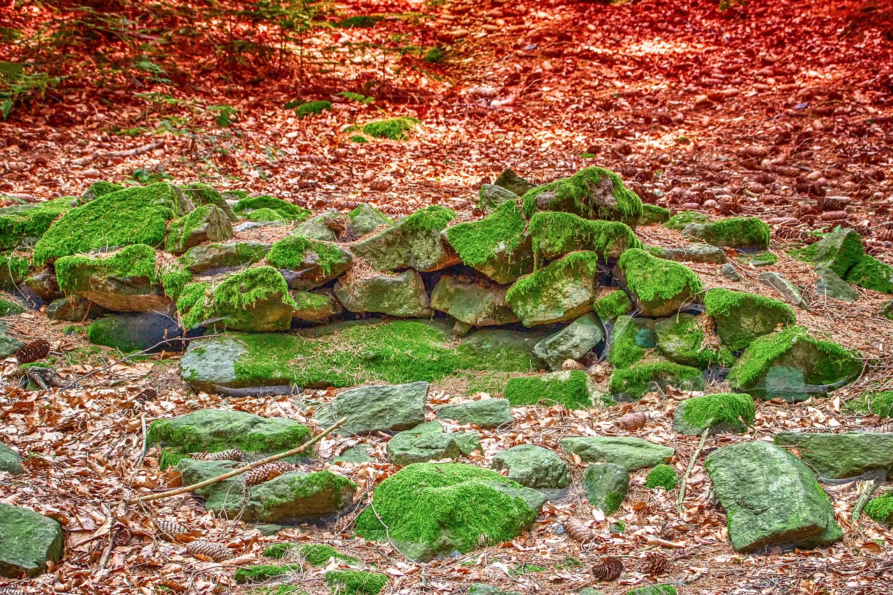 stones, nature, stone group, moss, roof, coating, forest, forest floor, green, leaves, brown, covering, naturally, grouped, piled up