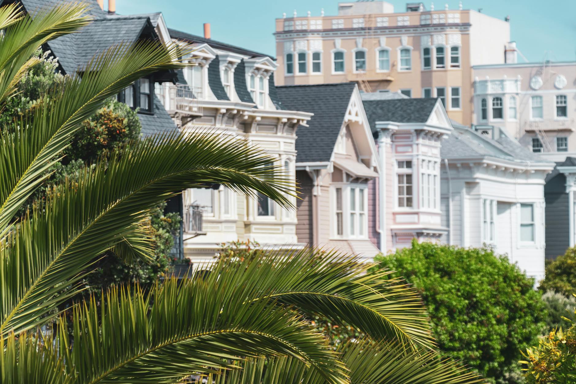 Victorian houses in San Francisco framed by lush palm trees on a sunny day.