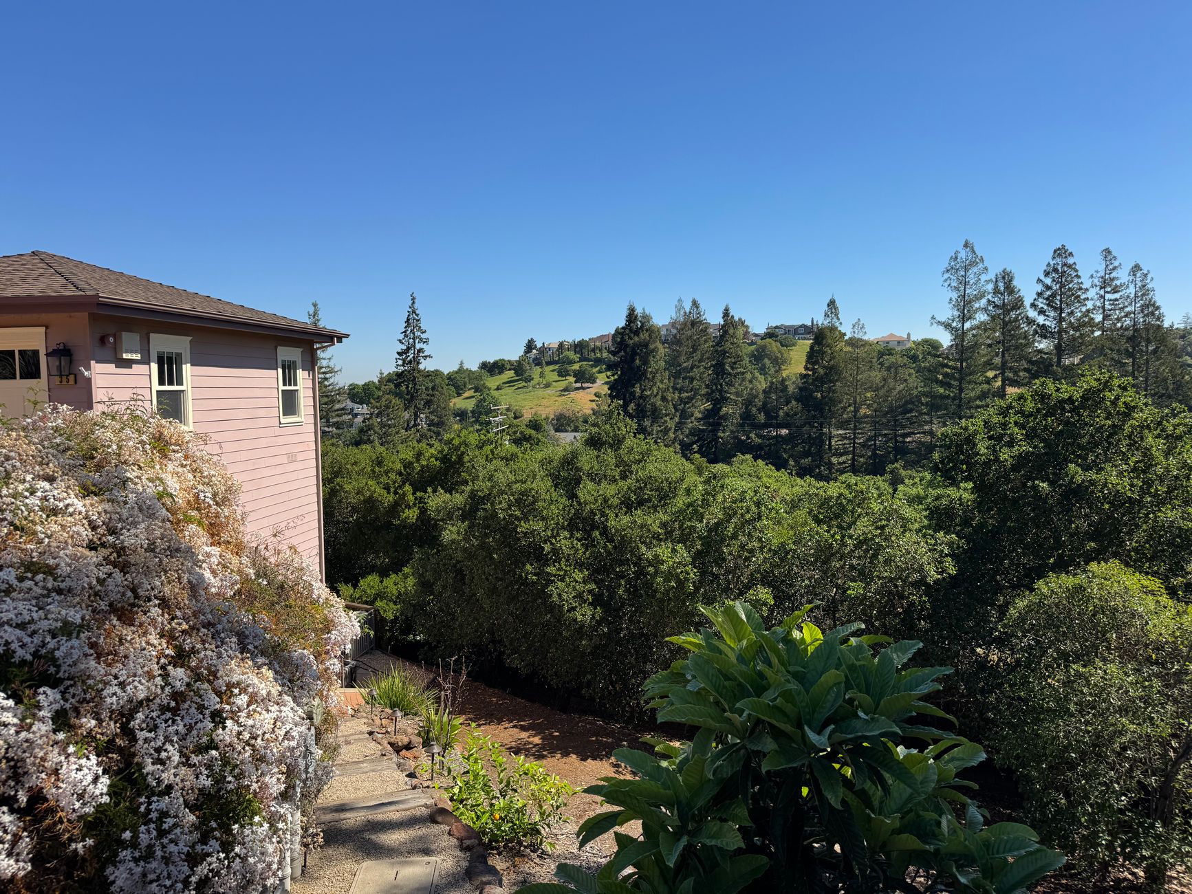 Sunny suburban landscape view from San Francisco overlooking lush greenery and distant hills.