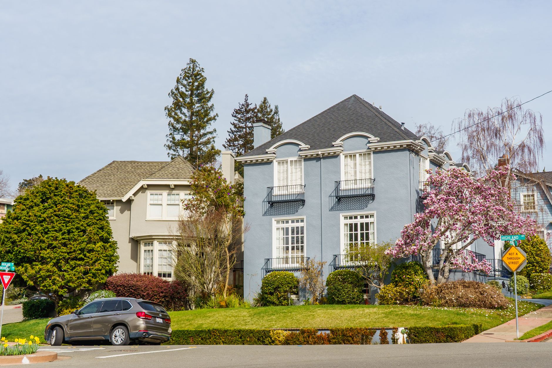 Picturesque suburban neighborhood with elegant homes, blooming trees, and a parked car on a sunny day.