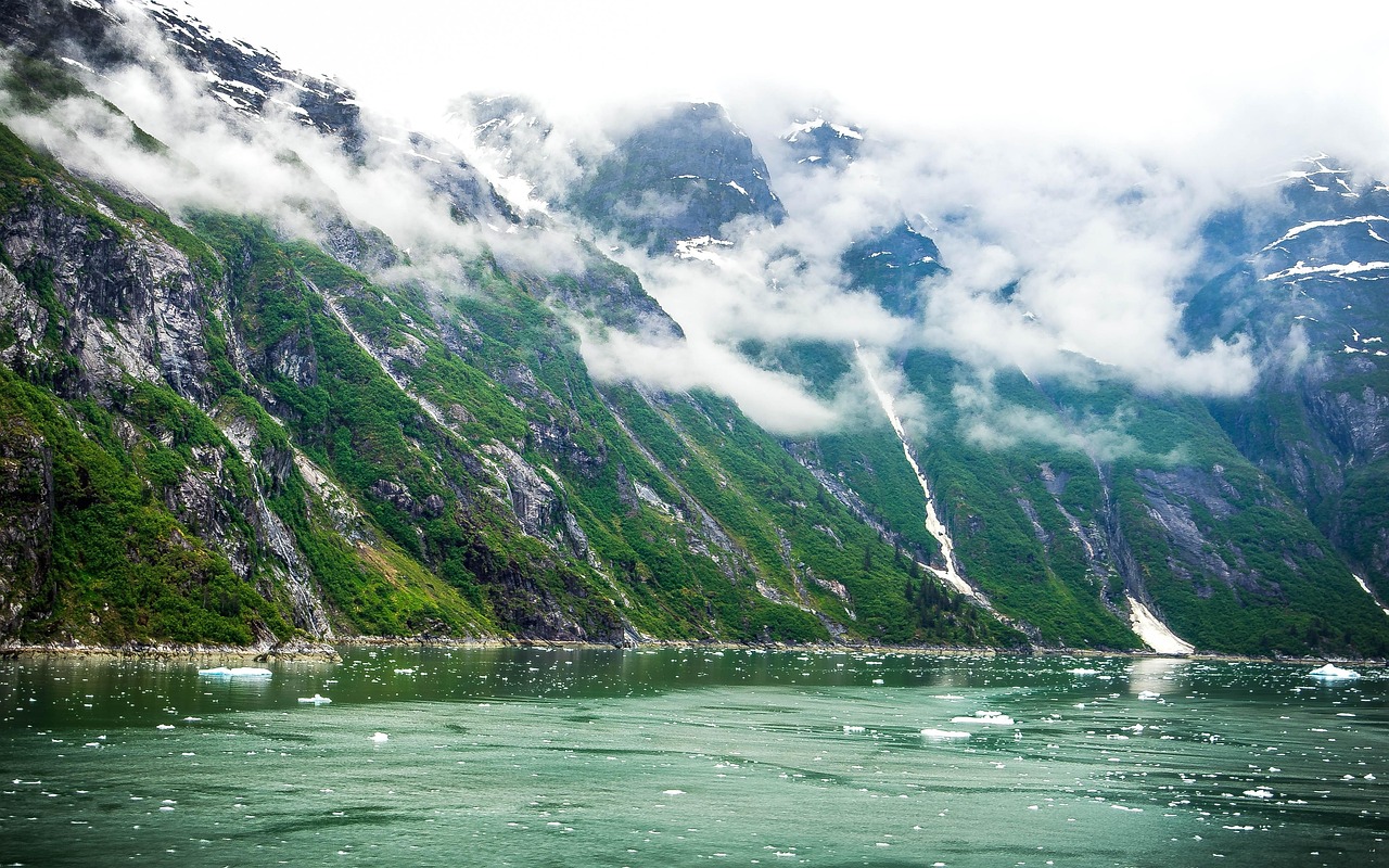 tracy, tracy arm, glacier, ice, mountains, snow, nature, cold, arm, tracy, tracy arm, tracy arm, tracy arm, tracy arm, tracy arm, nature
