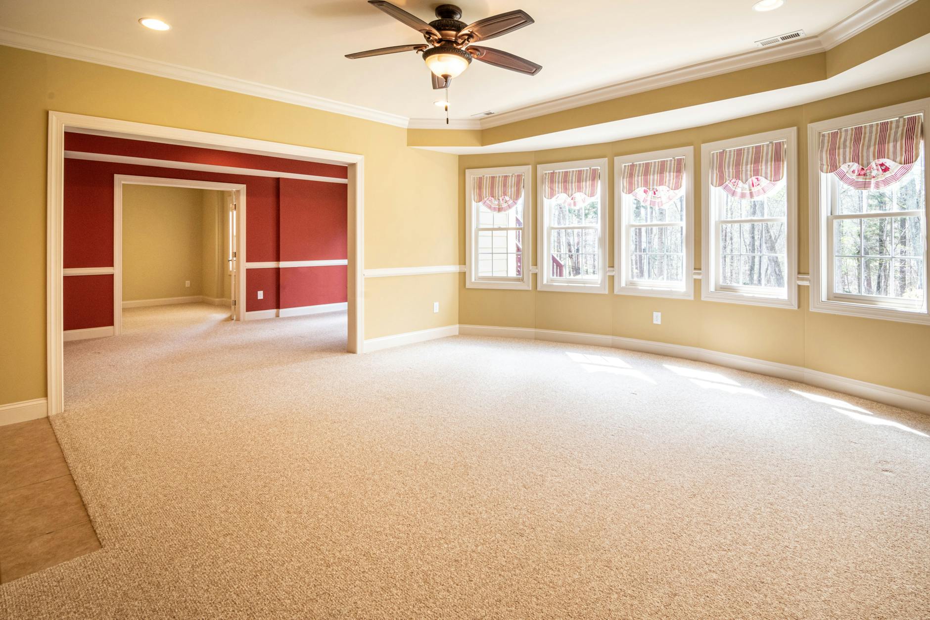 Professional interior painting in a Tiburon living room with clean lines and soft gray walls
