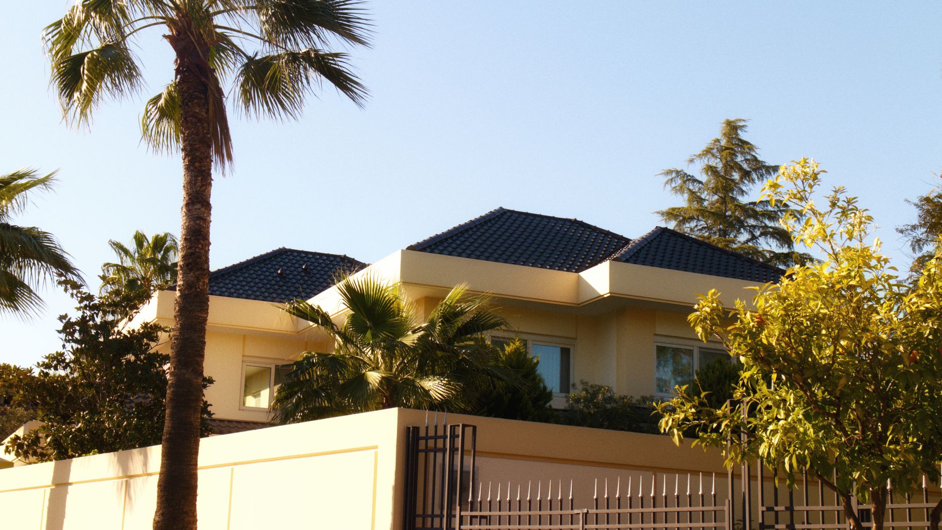 Contemporary house surrounded by palm trees in Adana, Turkey, under a clear blue sky.