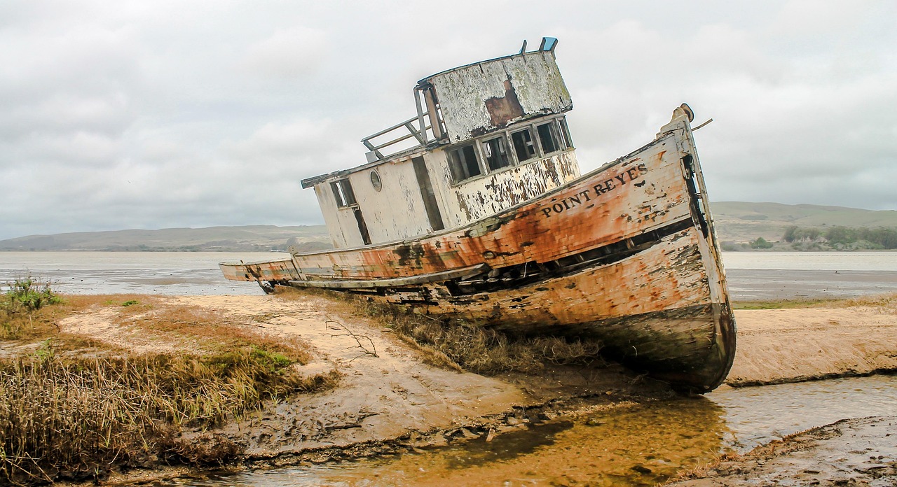 shipwreck, ship, wreckage, california bay, ocean, boat, coast, pacific, marine, brown sea, nature, brown ocean, brown boat